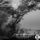 Tummler - So High (Currier Remix)