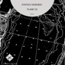 Syntech Vedeneev - See In The Night (Original Mix)