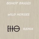 Bishop Briggs - Wild Horses