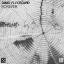 DANJO & ViceSound - Forever (Original Mix)