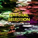 Simone Cerquiglini - Old Fashion (Original Mix)