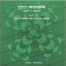 DJ REER - Lost In Metro (Gonza Rodriguez Remix)