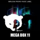 BBX feat.Tony T & Alba Kras vs Relanium - Crazy (Level & Fila Mashup) (BERLOGA MUSIC)