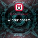 Dj Serebryakoof - winter dream ()