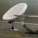 Baldostone, Spiritual Soul - You Want It (Spiritual Soul Instrumental Remix)