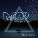 Royksopp - What Else Is There (Niado Free Remix)