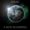 Druid - I Feel It (Original Mix)