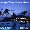 DJ Peter - Soulful Deep Funky House - Mix 2 2017 (Vol. 2)