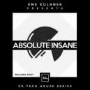 Eme Kulhnek - Absolute Insane (Original Mix)