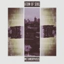 Atom of Soul - Metamorphosis (Original Mix)