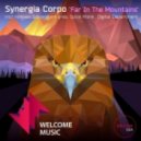 Synergia Corpo - Far in the Mountains (Solesystem Pres. Spice Monk Remix)