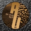 Bee Lincoln - Is This