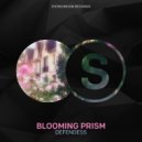 Defendess - Blooming Prism (Original Mix)