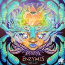 Enzymes & Twiggie Smallz - Mind, Body & Soul (Original Mix)
