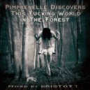 KRISTOF.T - Pimprenelle Discovers This Fucking World in The Forest - - 050317 (Mix)