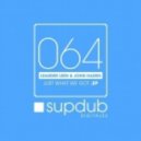 Leander Leen, John Haden - Just What We Got (Khainz Remix)