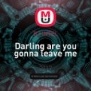 DJ iNTEL - Darling are you gonna leave me (Original Mix)