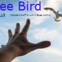 Free Bird - Птица (Kalashnikoff drum\'n\'bass remix)