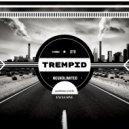 TREMPID - Silent Hill (Original Mix)