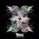 Patrick Perfetto - This is Crazy