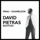 PNAU - Chameleon (David Pietras Bootleg)