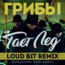 Грибы - Тает Лёд (Loud Bit Remix)
