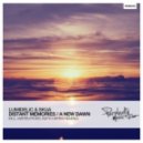 Skua & Lumidelic - Distant Memories (Martin Peter Remix)