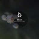 Meet - Dionisea (Original Mix)