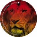 Re Dupre - Mad Monkey