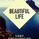 Lost Frequencies feat Sandro Cavazza - Beautiful Life (Oleg Alvarez remix)