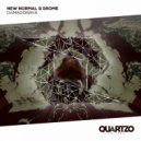 New Normal & SRome - Damadoraya (Original Mix)