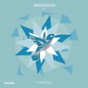 Lonely Fun - Imagining