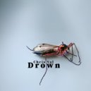 Chris Val - Drown ()