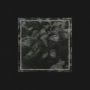 Middle Majesty - Societatem Hyla (Original mix)