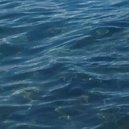 BrHume - Contre vents et marais