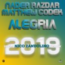 Nader Razdar & Matthew Codek - Alegria