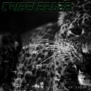 Tribeleader - Search