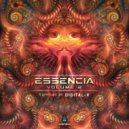 Terraspin - An Alien Experience