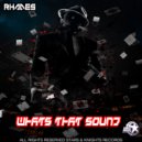 Rhades - Whats That Sound
