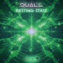 Duall - Fluctuations