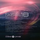 Cosmic Waves - Flying Dreams 018 (01.08.2019) ()