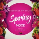 Jeff (FSI) - Spring Mood (Dj Day 2K19 light mix)