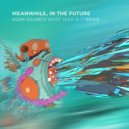 KOAN Sound - Meanwhile, In The Future (KOAN Sound\'s What Year Is It Remix)
