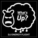 Dj Energy Flight - What\'s Up ? (Original Mix)