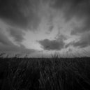 Yusuke Tsutsumi - The Last Descendants of Earth ()