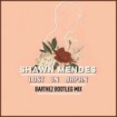 Shawn Mendes - Lost In Japan
