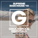 Gray Velvet - Bass In Your Face (Electro House Dub Mix)