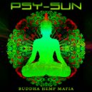 Psy-Sun - Groove Criminal (Two-Faces)