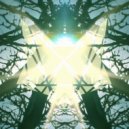 FOXTRAP - New Seeds