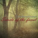 Emotions Structure - Secrets of the forest